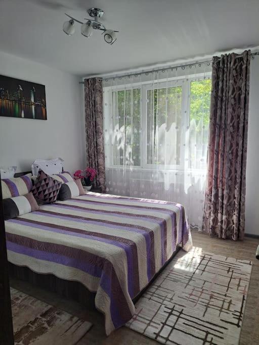 Casuta Cu Povesti Apartman Câmpina Kültér fotó